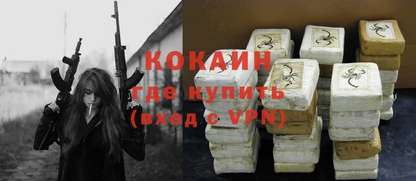 ГАЛЛЮЦИНОГЕННЫЕ ГРИБЫ Богданович