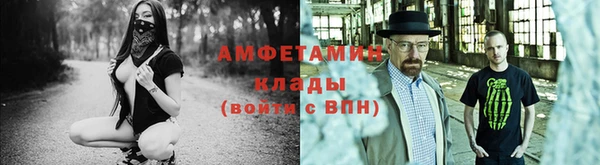 ГАЛЛЮЦИНОГЕННЫЕ ГРИБЫ Богданович