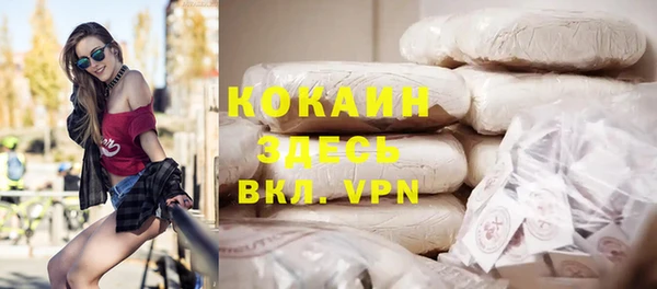 ГАЛЛЮЦИНОГЕННЫЕ ГРИБЫ Богданович
