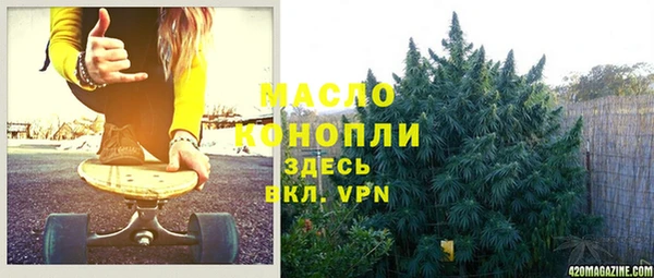 ГАЛЛЮЦИНОГЕННЫЕ ГРИБЫ Богданович