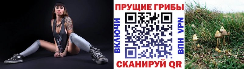 Галлюциногенные грибы Magic Shrooms Томск